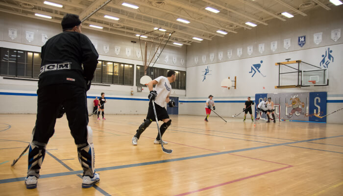 a group of people playing hockey